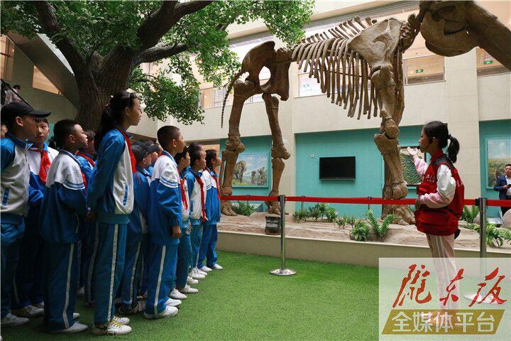 【第一眼】慶陽市博物館開展多項活動慶?！?·18國際博物館日”