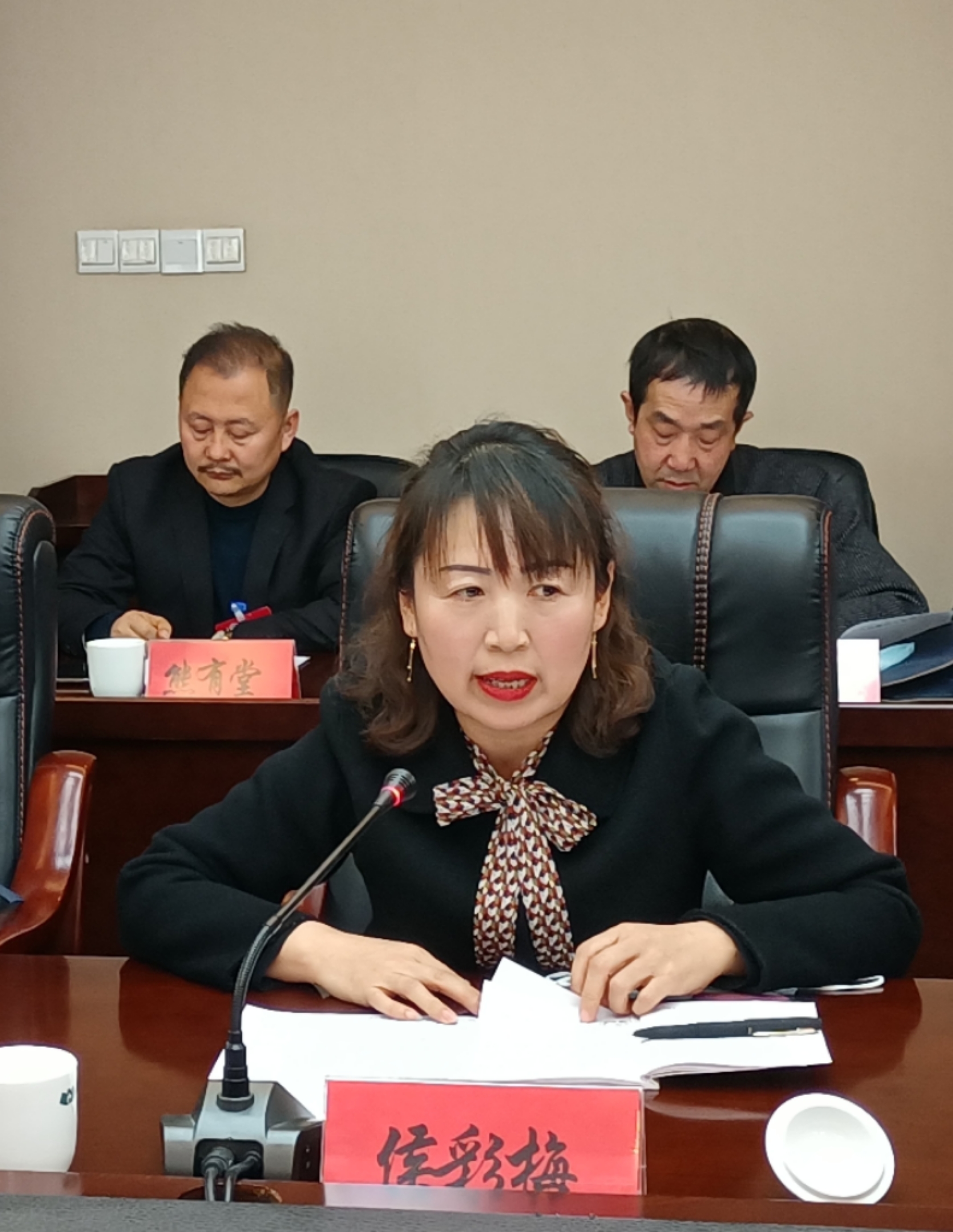侯彩梅委員在討論發(fā)言時(shí)就規(guī)范農(nóng)村中小學(xué)體育教學(xué)提出了建議。