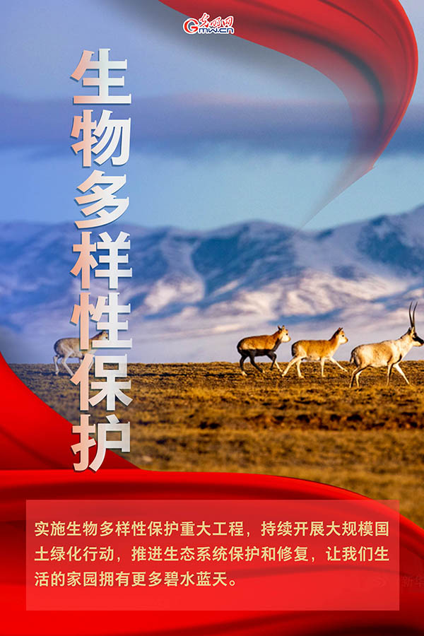 海報| 2021年政府工作報告，提到這些生態(tài)環(huán)保關鍵詞