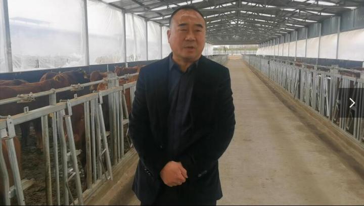 【脫貧攻堅(jiān)我來(lái)見證】項(xiàng)祖地：讓“早勝牛”品牌走出甘肅  走向全國(guó)