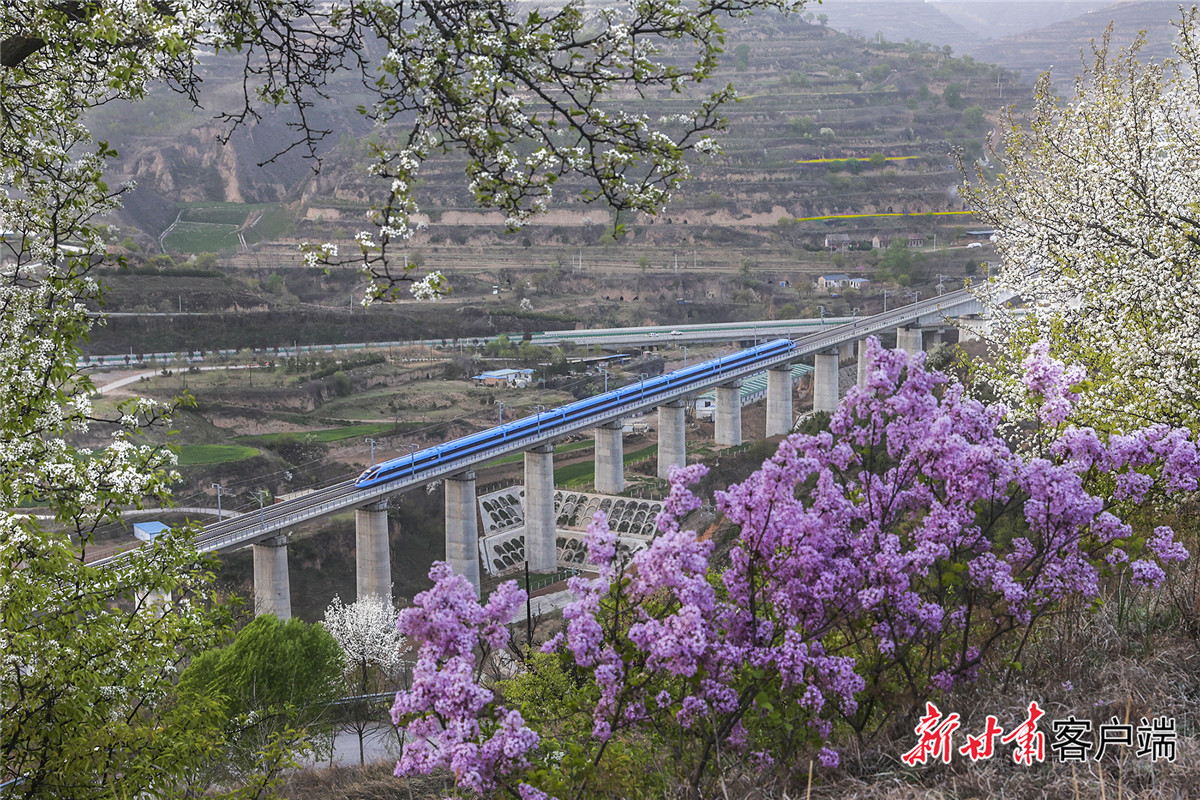 錨定目標(biāo) 篤行實(shí)干 加快革命老區(qū)高質(zhì)量發(fā)展——訪(fǎng)慶陽(yáng)市委書(shū)記黃澤元