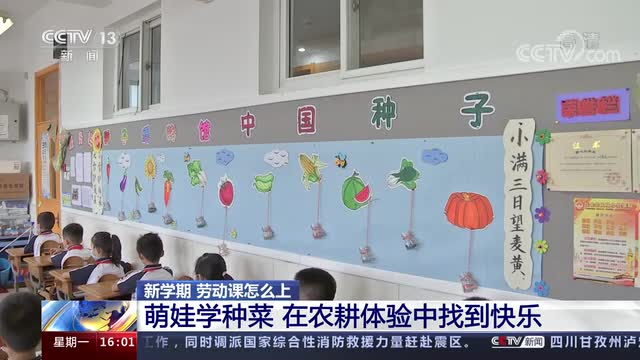 新學(xué)期，勞動(dòng)課怎么上？央視《新聞直播間》關(guān)注北師大慶陽附校農(nóng)耕體驗(yàn)課