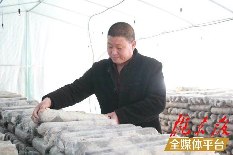 西峰區(qū)后官寨鎮(zhèn)司官寨村食用菌基地，工作人員在整理菌棒。本報(bào)記者 南力 攝