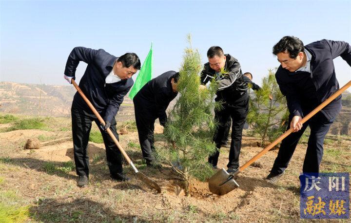 慶陽市2023年市級機(jī)關(guān)義務(wù)植樹活動(dòng)在慶城縣舉行