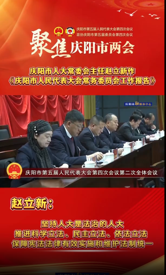 兩會(huì)V視(30)丨趙立新：堅(jiān)持人大是法治的人大，推進(jìn)科學(xué)立法、民主立法、依法立法，保障憲法法律有效實(shí)施和維護(hù)法制統(tǒng)一