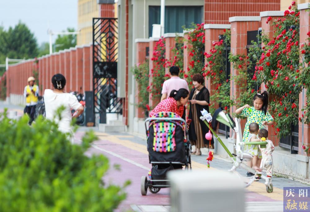 【攝影報道】薔薇花開！邂逅夏日的浪漫