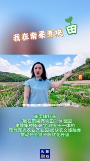 南梁鎮(zhèn)打造“我在南梁有塊田”體驗園，建成集種植、研學(xué)、觀光于一體的現(xiàn)代觀光農(nóng)業(yè)產(chǎn)業(yè)園，加快農(nóng)文旅融合，推動產(chǎn)業(yè)鏈不斷優(yōu)化升級